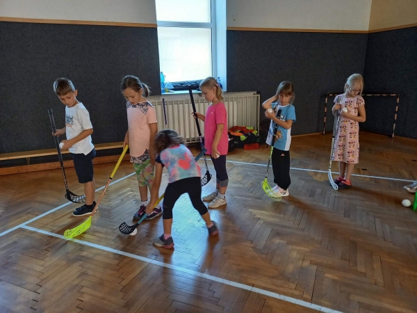 POHYBOVÝ KROUŽEK V ZŠ