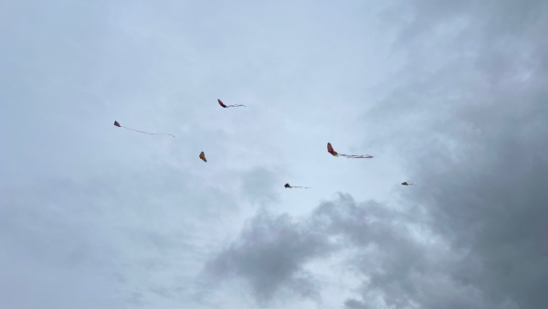 Zveme Vás na drakiádu - čtvrtek 3. 10. od 15.30 hod.