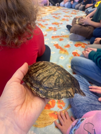 HNĚDÝ LISTOPAD VE ŠD