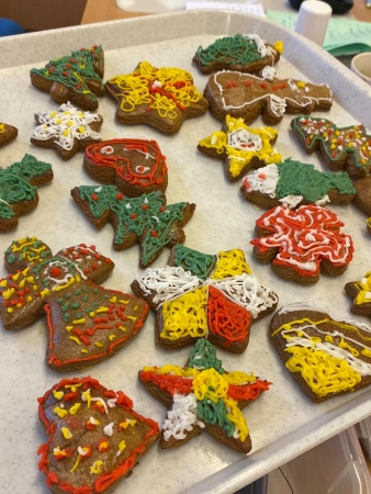 HNĚDÝ LISTOPAD VE ŠD