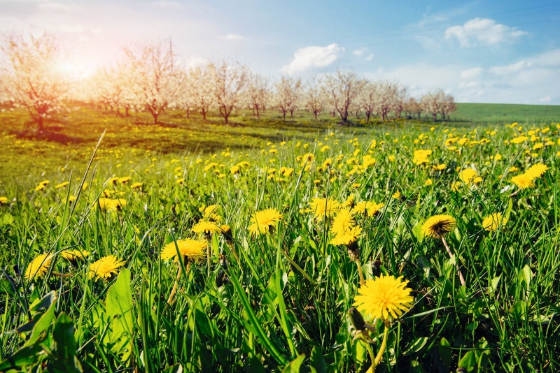 BŘEZEN VE ŠKOLNÍ DRUŽINĚ 2025
