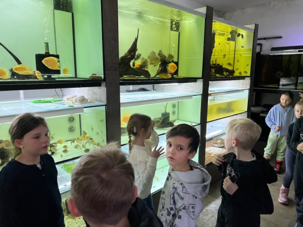 Leden 2026 ve školní družině