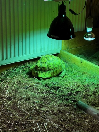 Leden 2026 ve školní družině