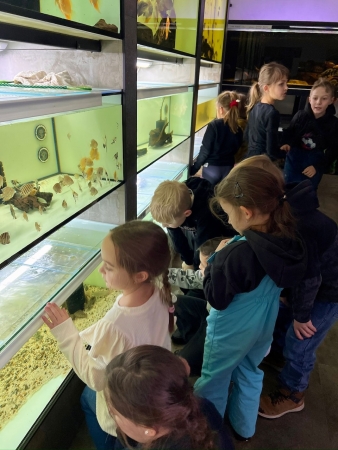 Leden 2026 ve školní družině