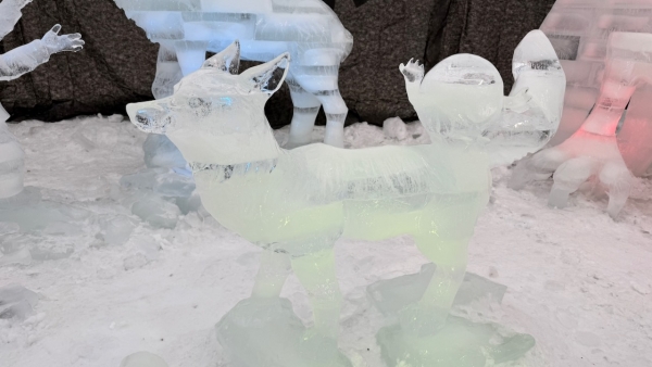 Ledové sochy - Pustevny