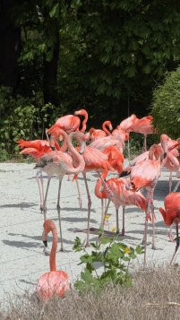 Exkurze do ZOO Ostrava