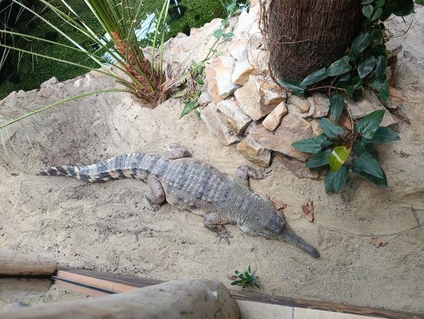 Exkurze do ZOO Ostrava