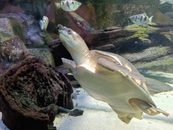 Exkurze do ZOO Ostrava