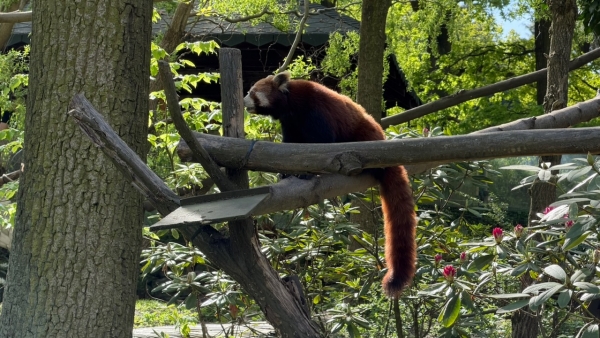 Exkurze do ZOO Ostrava