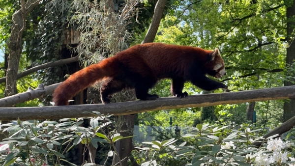 Exkurze do ZOO Ostrava
