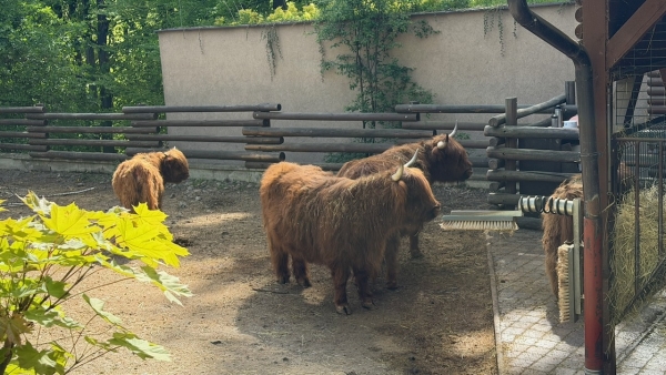Exkurze do ZOO Ostrava