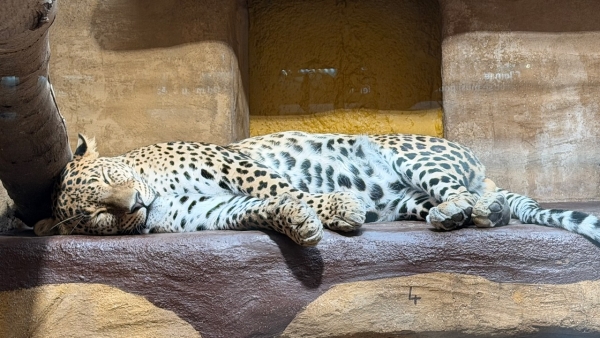 Exkurze do ZOO Ostrava