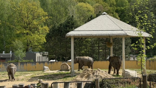 Exkurze do ZOO Ostrava