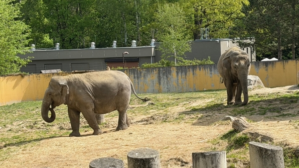 Exkurze do ZOO Ostrava