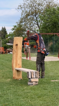 Den řemesel v obraze