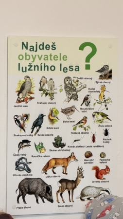 Za zvířátky do záchranné stanice v Bartošovicích