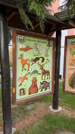 Za zvířátky do záchranné stanice v Bartošovicích