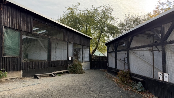 Za zvířátky do záchranné stanice v Bartošovicích