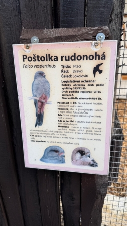 Za zvířátky do záchranné stanice v Bartošovicích