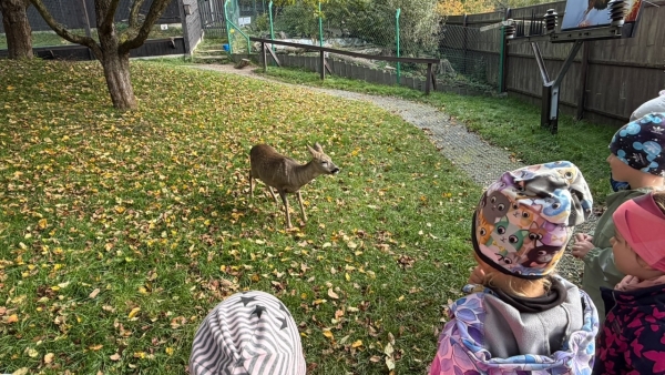 Za zvířátky do záchranné stanice v Bartošovicích