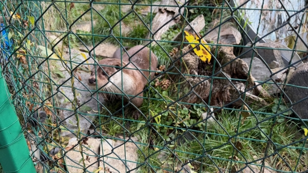 Za zvířátky do záchranné stanice v Bartošovicích